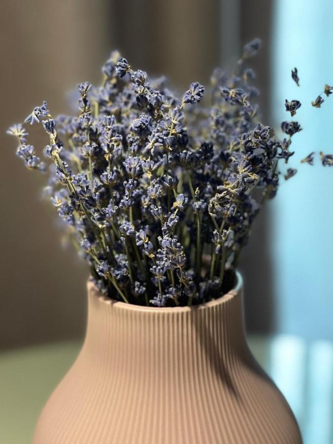 Jeny Boutique Apartment Târgu-Mureş Zewnętrze zdjęcie